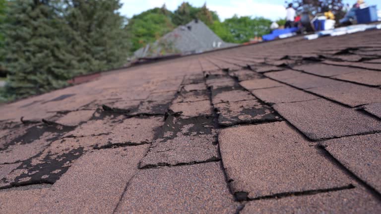 Best Roofing for New Construction  in Gainesville, VA