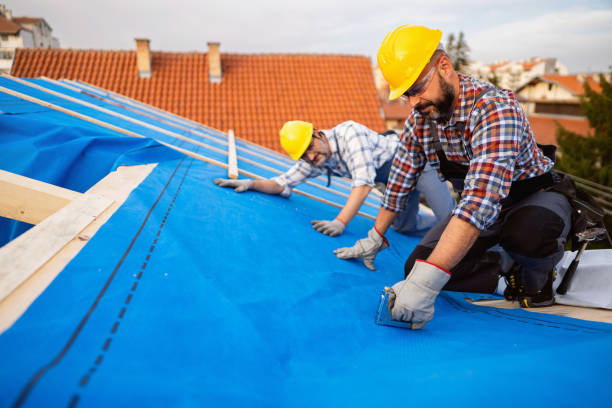 Best Rubber Roofing (EPDM, TPO)  in Gainesville, VA