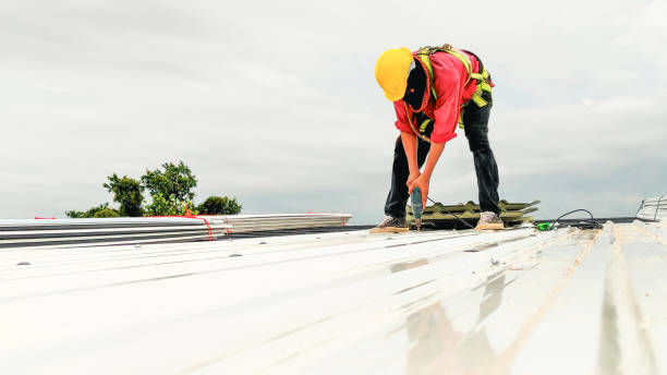 Best Rubber Roofing (EPDM, TPO)  in Gainesville, VA