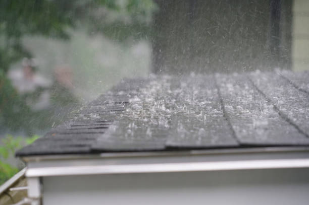 Best Roof Replacement  in Gainesville, VA