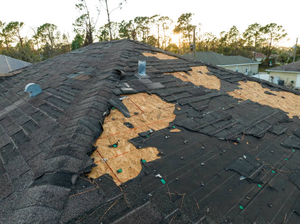 Best Cold Roofs  in Gainesville, VA